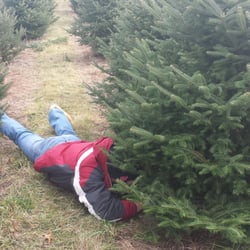 Summers Christmas Tree Farm - Trimming our first tree at Summers.