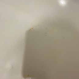 What appears to be dried blood at the bottom of the bath tub