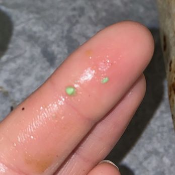 Burrito Express - Close-up of a finger with small green and white food particles, possibly from a meal, on the fingertip. - Mexican Near Me - Gilbert, Arizona