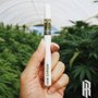 Photo of Honor Roll Weed Delivery