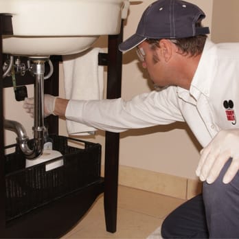 Truly Nolen Pest & Termite Control - Pest Control Near Me - Brick, New Jersey Truly Nolen Pest & Termite Control - Pest Control Near Me - Brick, New Jersey