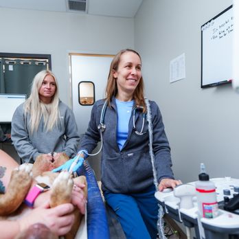 COVE Pet Care - Emergency Pet Hospital Near Me - Delaware, Ohio