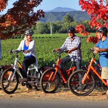Bolo's Bikes - Bike tours Near Me - Healdsburg, California Bolo's Bikes - Bike tours Near Me - Healdsburg, California