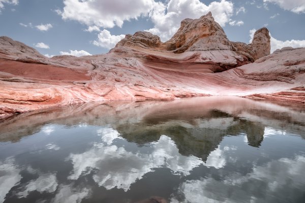 Dreamland Safari Tours by null