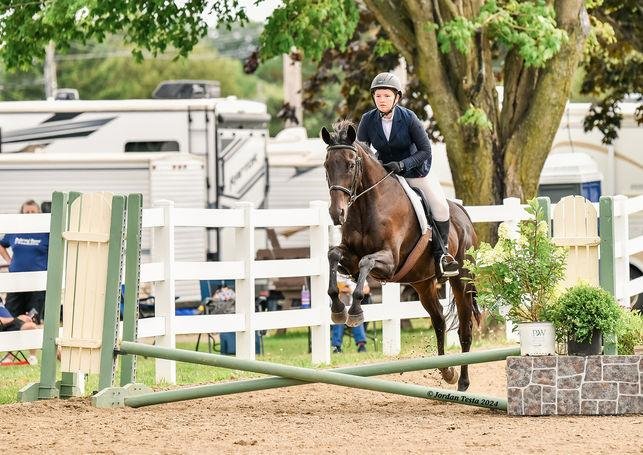 Lofty Heart Stables - equestrian in Burt, NY