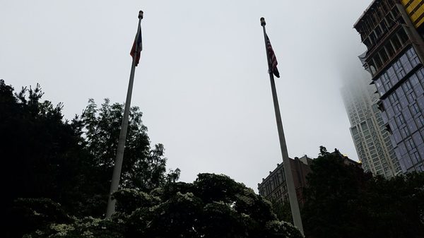 City Hall Park Greenmarket by null