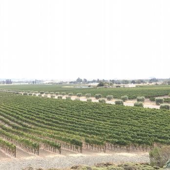 Gloria Ferrer Winery - The View from the Member's only outside seating area - Wineries Near Me - Sonoma, California
