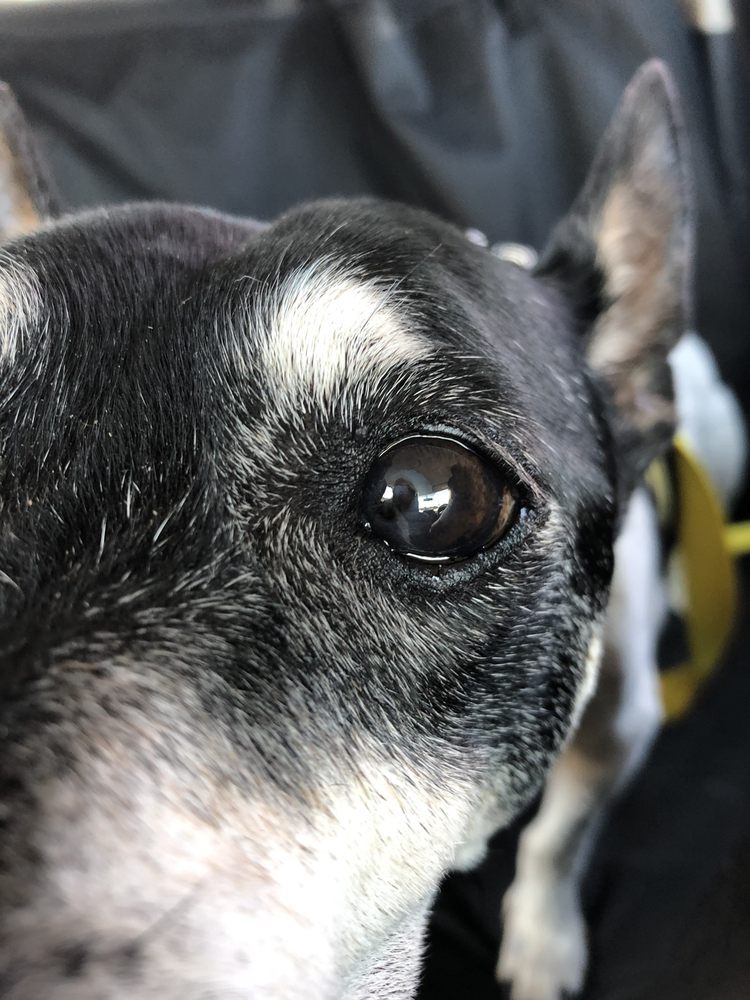 BARKERY ON BROAD Updated July 2024 1159 Broad St, Augusta,