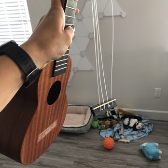 Just Ukes - Uke was kept in a case in my house always, so not sure what caused this - Musical Instruments & Teachers Near Me - Kailua-Kona, Hawaii Just Ukes - Uke was kept in a case in my house always, so not sure what caused this - Musical Instruments & Teachers Near Me - Kailua-Kona, Hawaii