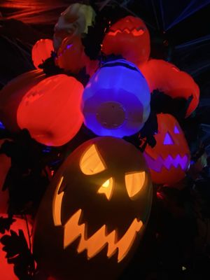 The Sand Dollar Lounge by null