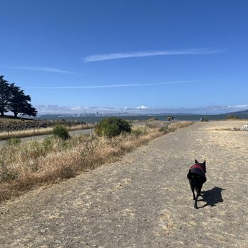Point Isabel Regional Shoreline - Dog Parks Near Me - Richmond, California Point Isabel Regional Shoreline - Dog Parks Near Me - Richmond, California