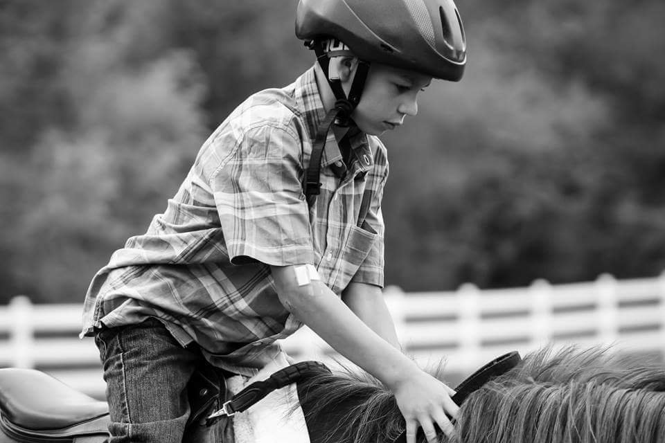 Reins of Life - equestrian in Michigan City, IN