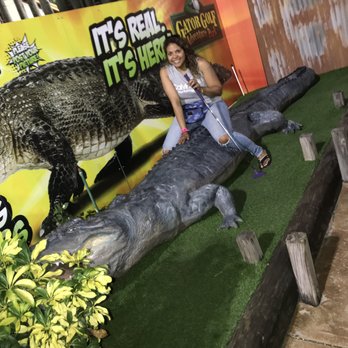 Gator Golf - Fun place to be silly! - Mini Golf Near Me - Orlando, Florida