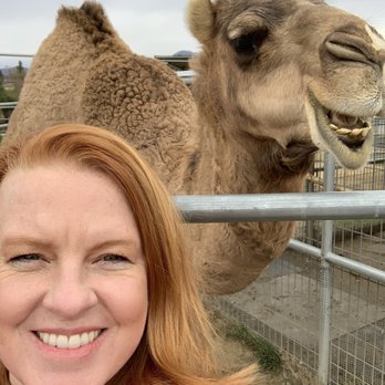 Sugarplum Zoo - Chocolatiers & Shops Near Me - Temecula, California