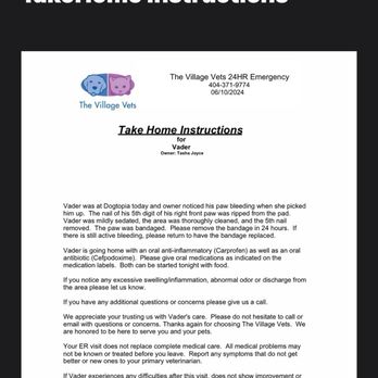 Dogtopia - Email from ER vet. - Pet Boarding Near Me - Decatur, Georgia