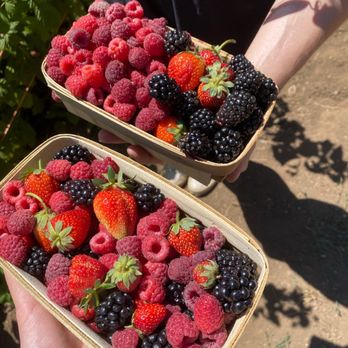 Riley's Farm - Fruits & Veggies Near Me - Oak Glen, California Riley's Farm - Fruits & Veggies Near Me - Oak Glen, California