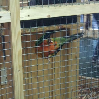 Pine Cove Towers - Bird cages at pine cove... - Summer Camps Near Me - Tyler, Texas Pine Cove Towers - Bird cages at pine cove... - Summer Camps Near Me - Tyler, Texas