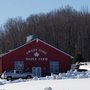 Photo of Sweet Time Maple