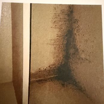 Pristine Property Management - Black mold on tenants ceiling from deferred maintenance on leaky roof - Property Management Near Me - Downey, California Pristine Property Management - Black mold on tenants ceiling from deferred maintenance on leaky roof - Property Management Near Me - Downey, California