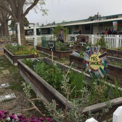 Magnolia Elementry School - Magnolia Elementary School has the coolest garden area!!!