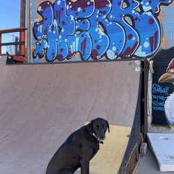 Black Cock Brewery - She is sad because she cannot skate