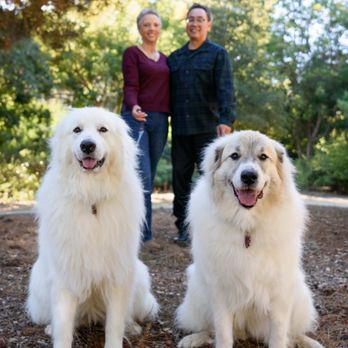 Pet Charm Photography - Pet Photography Near Me Pet Charm Photography - Pet Photography Near Me