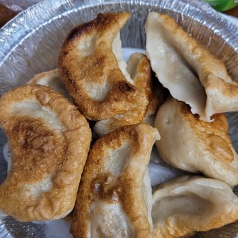 Kai Sushi Asian Fusion - Fried pork dumplings - Asian Fusion Near Me - Bronx, New York