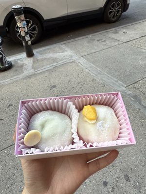 Pavlo Mochi by null