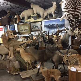TexMAX Auctions - Auction Houses Near Me - Houston, Texas TexMAX Auctions - Auction Houses Near Me - Houston, Texas