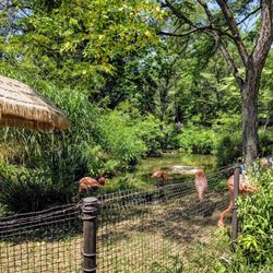 user provided Pittsburgh Zoo & Aquarium photo