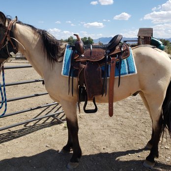 Kyle Canyon Ranch - Test fitting my new saddle - Horse Boarding Near Me - Las Vegas, Nevada Kyle Canyon Ranch - Test fitting my new saddle - Horse Boarding Near Me - Las Vegas, Nevada