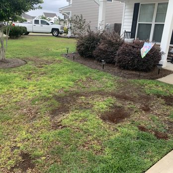 Bowman's Best Lawn Care - a patch of grass in front of a house - Landscaping Near Me - Wilmington, North Carolina Bowman's Best Lawn Care - a patch of grass in front of a house - Landscaping Near Me - Wilmington, North Carolina