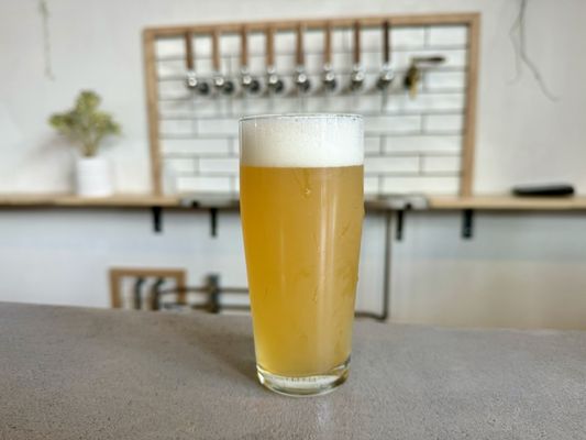 freak folk bier by null
