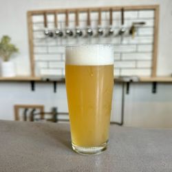 Freak Folk Bier - "Double Fantasy: Strata & Strata CGX" (IPA)