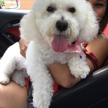 John Andrews Pet Salon - Pet Groomers Near Me - Houston, Texas John Andrews Pet Salon - Pet Groomers Near Me - Houston, Texas