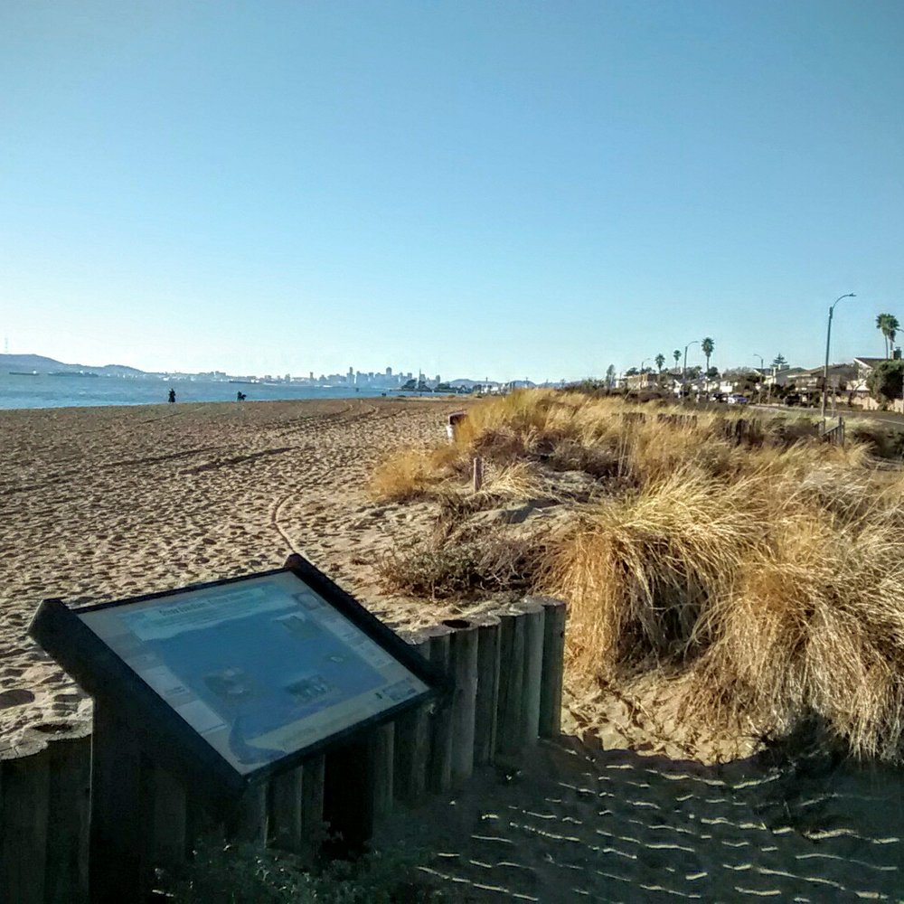 Alameda Beach - Beaches Near Me - Alameda, California