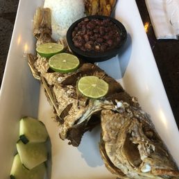 Snapper