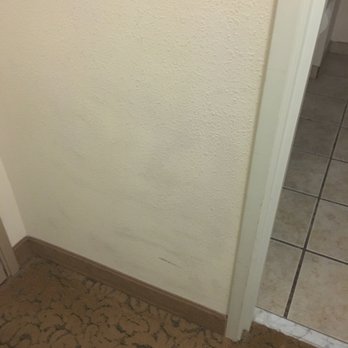 Comfort Inn & Suites - Hotels Near Me - Dover, Delaware Comfort Inn & Suites - Hotels Near Me - Dover, Delaware