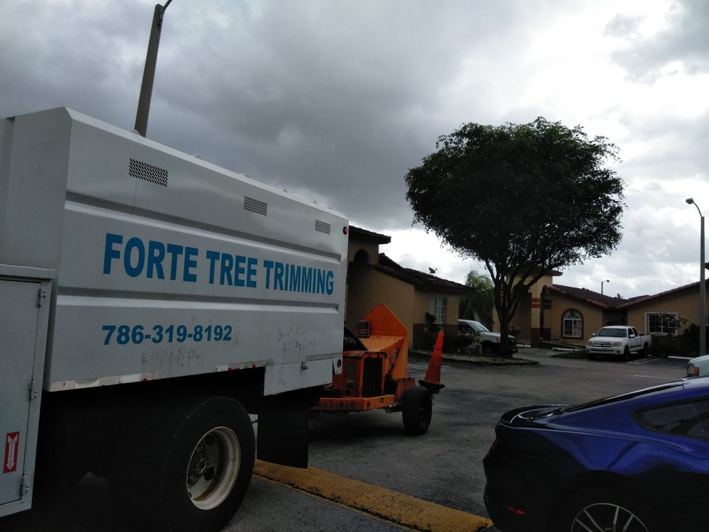 Forte Tree Trimming - tree service in Hialeah, FL