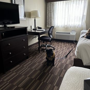 Best Western Sundowner - Room was nice and clean. - Hotels Near Me - Sterling, Colorado