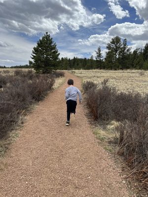Florissant Fossil Beds National Monument by null