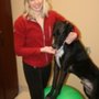 Photo of Veterinary Hospital