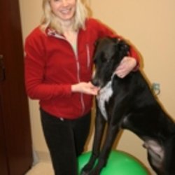 Veterinary Hospital - Photo