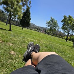 Harry Griffen Dog Park