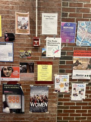 Lizzy's Ice Cream by null