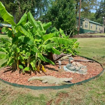 Petrey Handyman and Painting - After cleaning.oit flower beds - Handyman Near Me Petrey Handyman and Painting - After cleaning.oit flower beds - Handyman Near Me