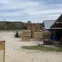 Photo of Worley's Pallets and Crates
