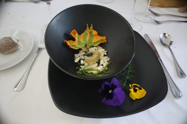 Dulce Patria by null