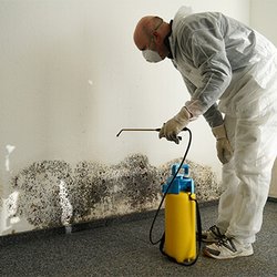 PuroClean Emergency Restoration Services