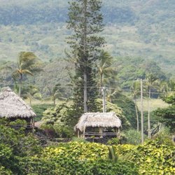 Hawaiian Scooter Tours - Remote village of Hana